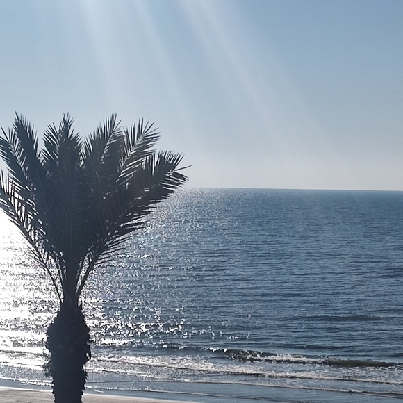 Meet your Posher, Shelly - Picture 2 of 2